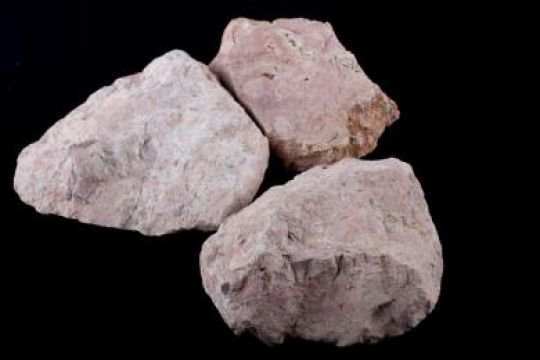 Batu Karang Kipas Random Red